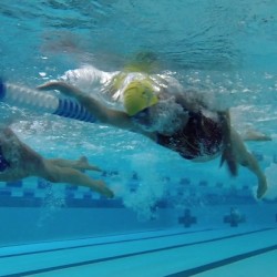 lap swim underwater shot