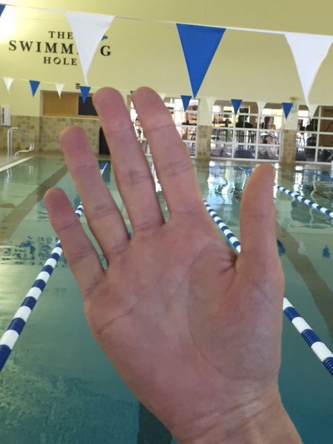 Hand position for maximum swimming speed